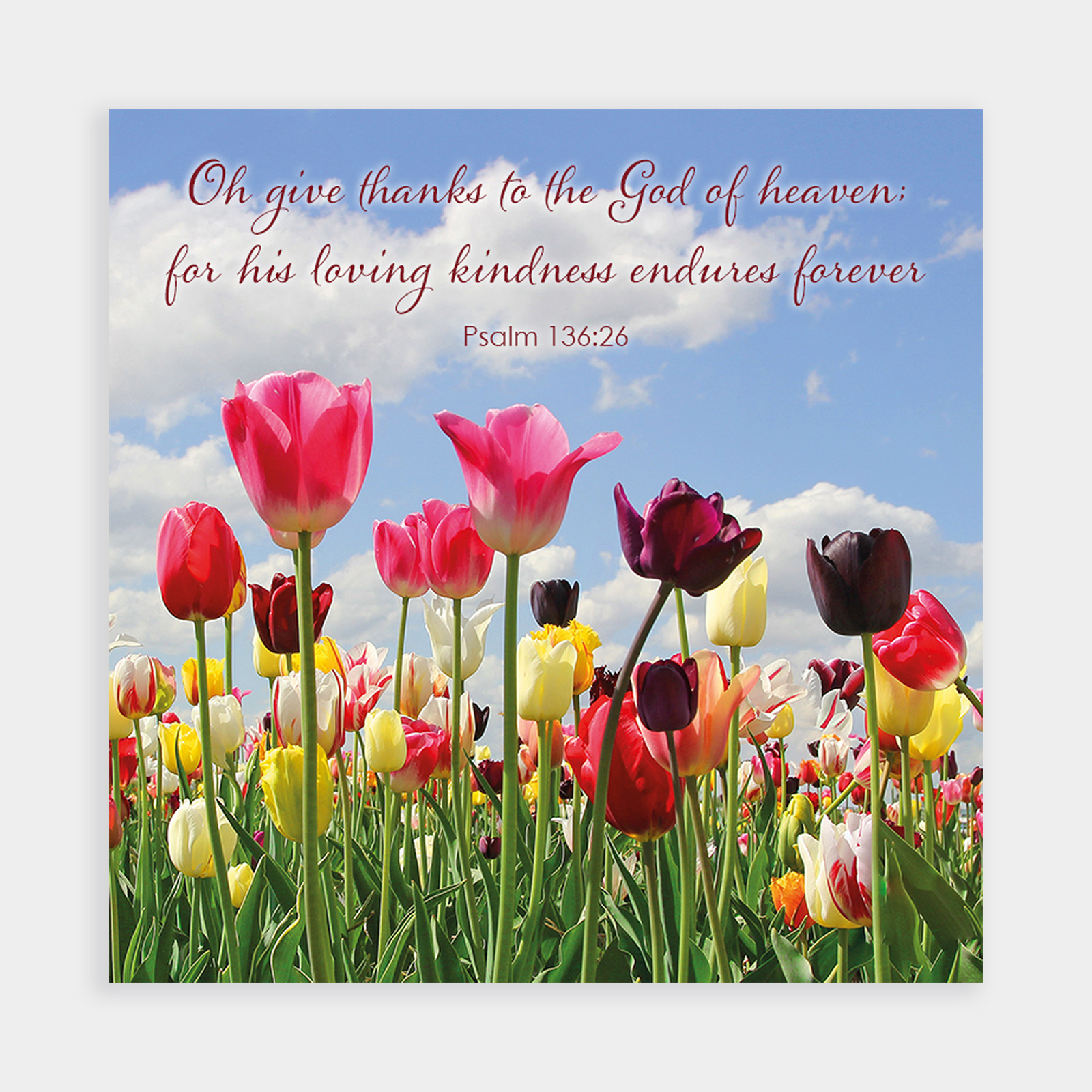 SPRING TULIPS EASTER CARDS