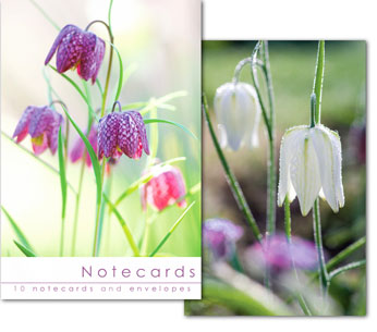 FRITILLARIES NOTELETS PACK OF 10