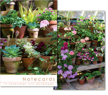 POT PLANTS IN CONSERVATORY NOTELETS PACK OF 10
