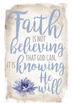 WALL PLAQUE FAITH IS NOT 