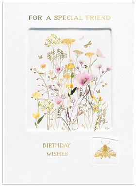 SPECIAL FRIEND BIRTHDAY CARD