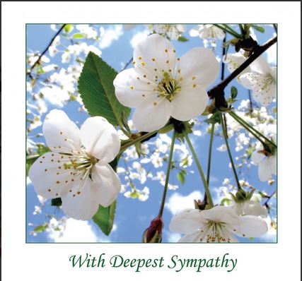 WITH DEEPEST SYMPATHY GREETINGS CARD