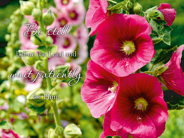 CERISE HOLLYHOCKS PSALM 37:7 PLAQUE