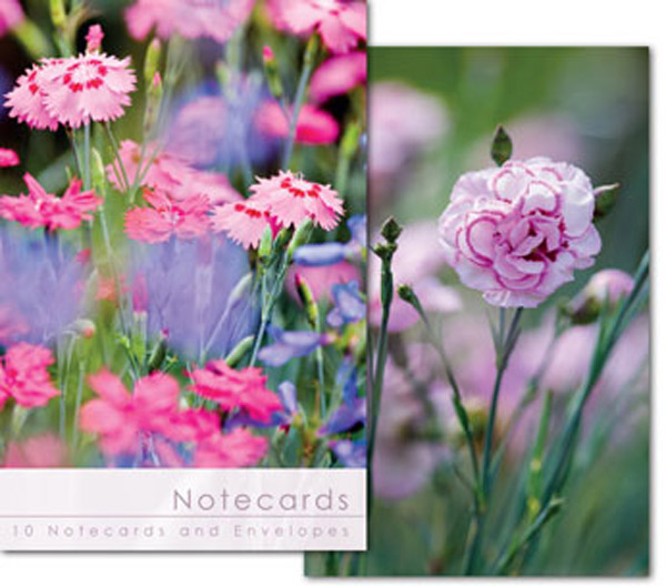 PINK CARNATIONS NOTELETS PACK OF 10 PINK CARNATIONS NOTELETS PACK OF 10