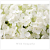 SYMPATHY CARD WHITE HYRDRANGEA
