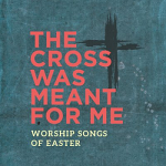 THE CROSS WAS MEANT FOR ME CD