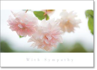 WITH SYMPATHY INSPIRE CARD