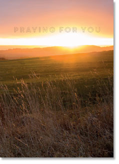PRAYING FOR YOU CARD