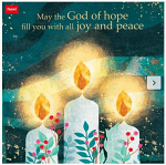 ALL JOY CHRISTMAS CARDS 