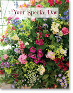 YOUR SPECIAL DAY PETITE CARD    