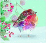 WINTER ROBIN CHRISTMAS CARDS
