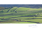 YORKSHIRE DRY STONE WALLS CARD