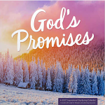 GOD'S PROMISES WALL CALENDAR 2027