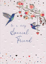 SPECIAL FRIEND BIRTHDAY CARD