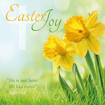 EASTER JOY PACK OF 5