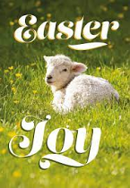 EASTER JOY CARDS PACK OF 5