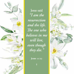 I AM THE RESURRECTION EASTER CARDS PACK OF 5
