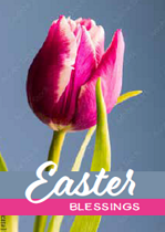 EASTER MINI CARDS:EASTER BLESSINGS TULIP (PACK OF 4)