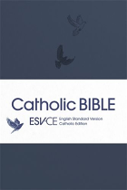 ESV CATHOLIC BIBLE ANGLICISED POCKET EDITION