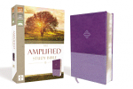 AMPLIFIED STUDY BIBLE