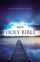 NIV VALUE OUTREACH BIBLE PB