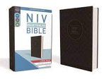 NIV VALUE THINLINE LARGE PRINT BIBLE