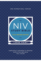 NIV STUDY BIBLE LARGE PRINT