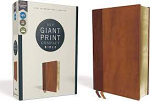 NIV GIANT PRINT COMPACT BIBLE