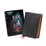 ESV CLARION REFERENCE BIBLE