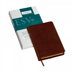 ESV PITT MINION REFERENCE BIBLE