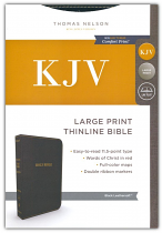 KJV LARGE PRINT THINLINE BIBLE BLACK