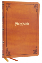 KJV THINLINE BIBLE TAN COMFORT PRINT  