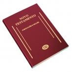 BRAZILIAN PORTUGUESE AND ENGLISH NEW TESTAMENT