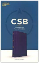 CSB SINGLE COLUMN PERSONAL SIZE BIBLE PLUM