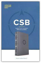 CSB LARGE PRINT COMPACT REFERENCE BIBLE STONE