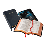 NIV CLARION REFERENCE BIBLE