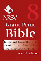 NRSV GIANT PRINT BIBLE VOLUME 8 