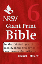 NRSV GIANT PRINT BIBLE VOLUME 6