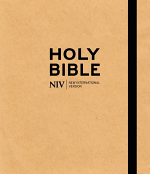 NIV ART JOURNALLING BIBLE