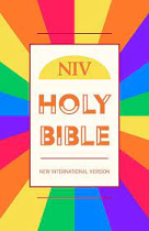 NIV VALUE BIBLE RAINBOW