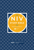 NIV STUDY BIBLE ANGLICIZED
