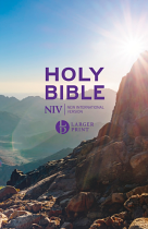 NIV LARGER PRINT PERSONAL VALUE BIBLE HB