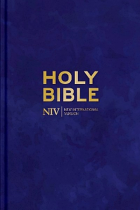 NIV LARGER PRINT PERSONAL VELVET BIBLE