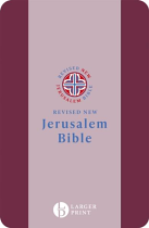 RNJB LARGER PRINT BIBLE