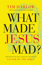 WHAT MADE JESUS MAD?