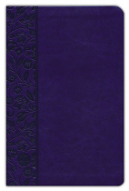 TPT NEW TESTAMENT PURPLE IMITATION 