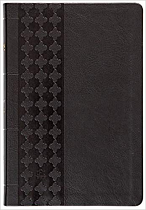 TPT NEW TESTAMENT LARGE PRINT