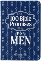 100 BIBLE PROMISES FOR MEN 