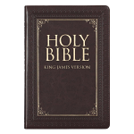 KJV THINLINE LARGE PRINT BIBLE