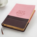 KJV LARGE PRINT COMPACT BIBLE PINK BROWN